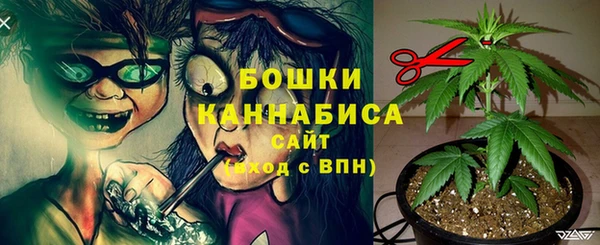 дурь Балахна
