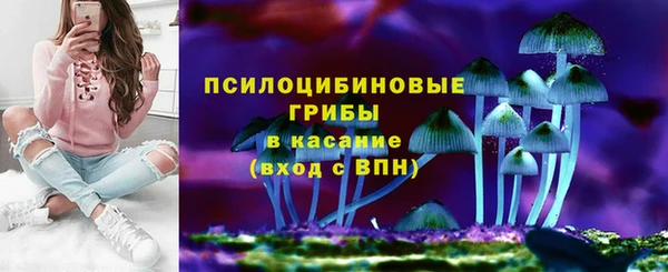 дурь Балахна