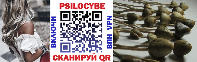 Галлюциногенные грибы Psilocybine cubensis  Верхотурье 